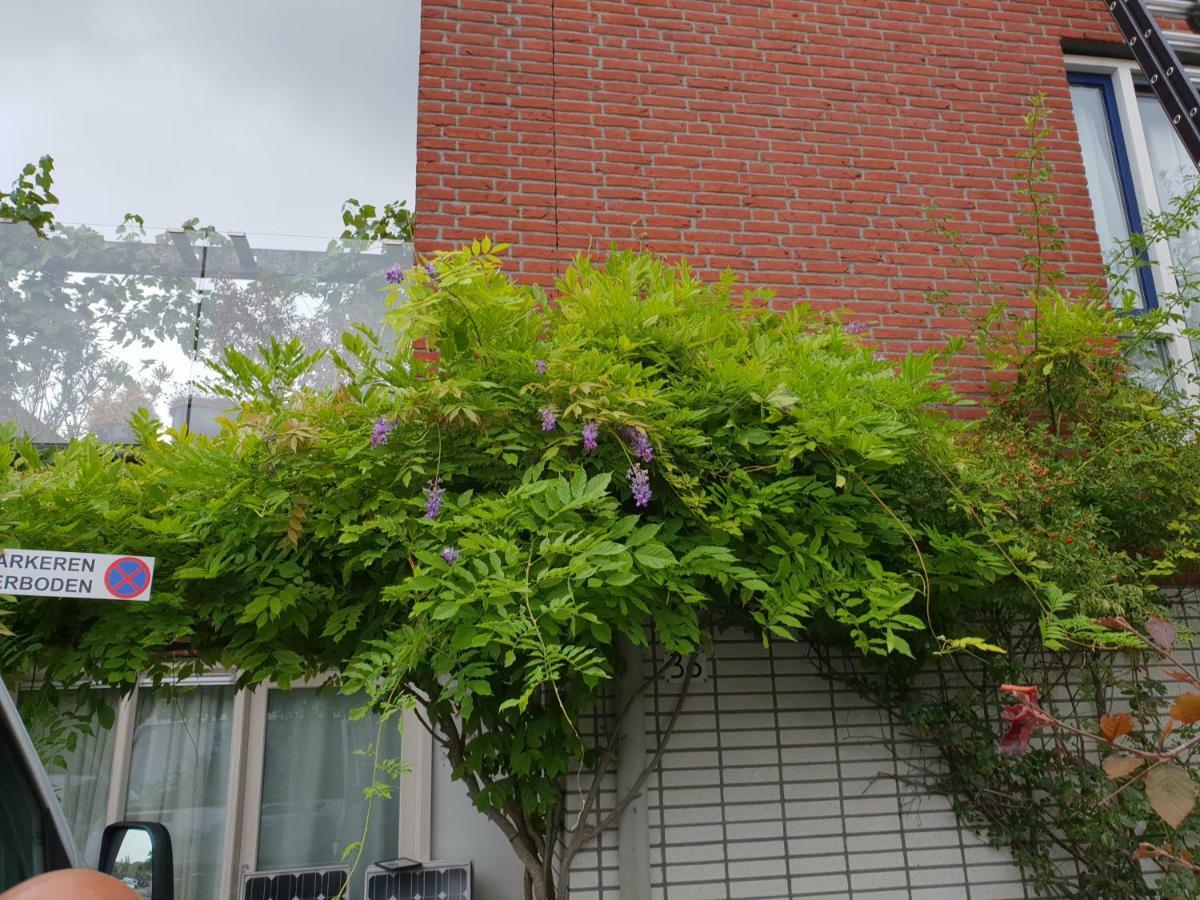 Johan'S B&B, Dakterras & Goedkoop Parkeren - Sinds 2014 アムステルダム エクステリア 写真